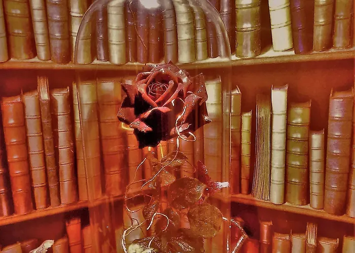 Couette-café Au2 5*