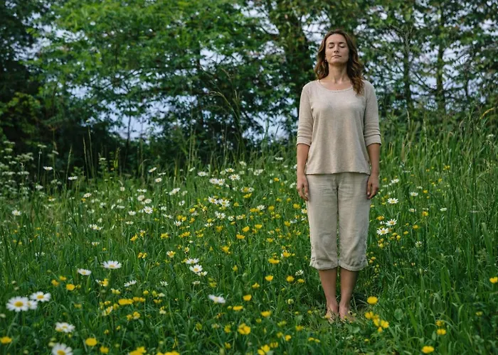 Au2 - Au2 ベッド・アンド・ブレックファスト Muidorge